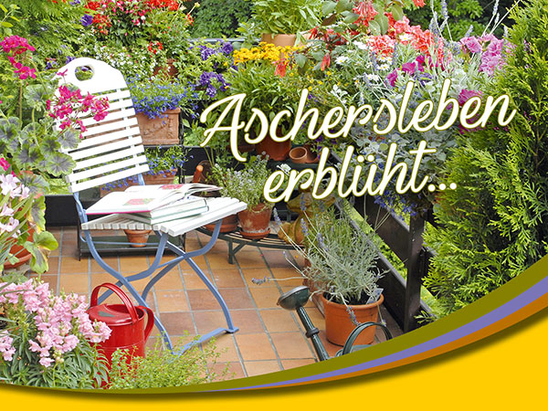 Aschersleben erblüht
