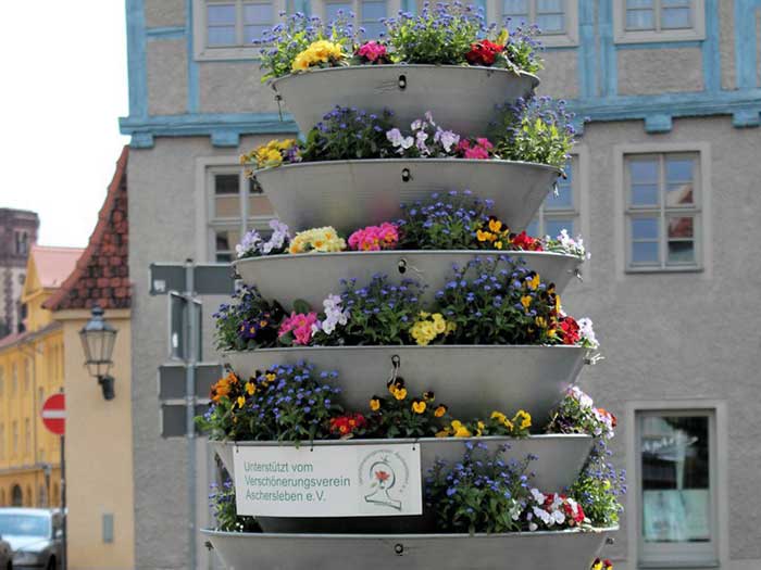 Eine Blume für die Stadt